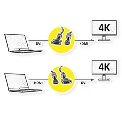 ROLINE GOLD Monitorkabel DVI (24+1) - HDMI, ST/ST, 3 m