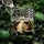 Kilian The Liquors Fièvre Verte Eau de Parfum 50 ml