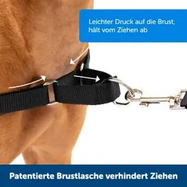 PetSafe Easy Walk L