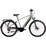 Diamant 28" RH 54 cm silber matt