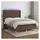vidaXL Boxspringbett 140 x 200 cm Dunkelbraun