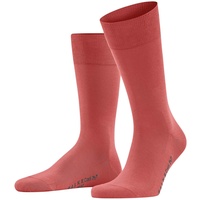 Falke Herren Socken - Cool 24/7, Businessstrumpf, Kurzstrumpf, Uni Hellrot 41-42