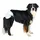 Trixie Hundewindel 12 Stück Weiß M