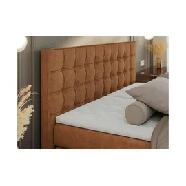 MKS Meble Boxspringbett 200 x 200 cm H3 Orange