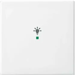 Busch-Jaeger Wippe aws 6231-10-914