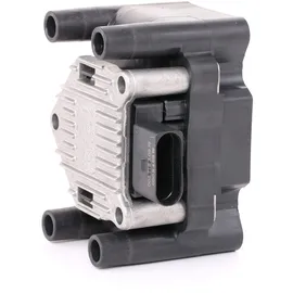 BorgWarner (Beru) Beru Zündspule