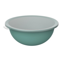 Rotho CARUBA Schüssel mit Deckel, 4,8 Liter, Salatschüssel ideal um Speisen zuzubereiten und frisch zu halten, Farbe: mistletoe green