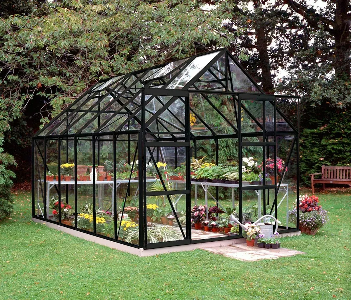 Halls Gewächshaus Magnum SET- 8,3 m2 / 9,9 m2 / 11,5 m2 3,84 x 2,57 m - 9,9 m2 (Gr. 2) 3 mm Sicherheitsglas schwarz