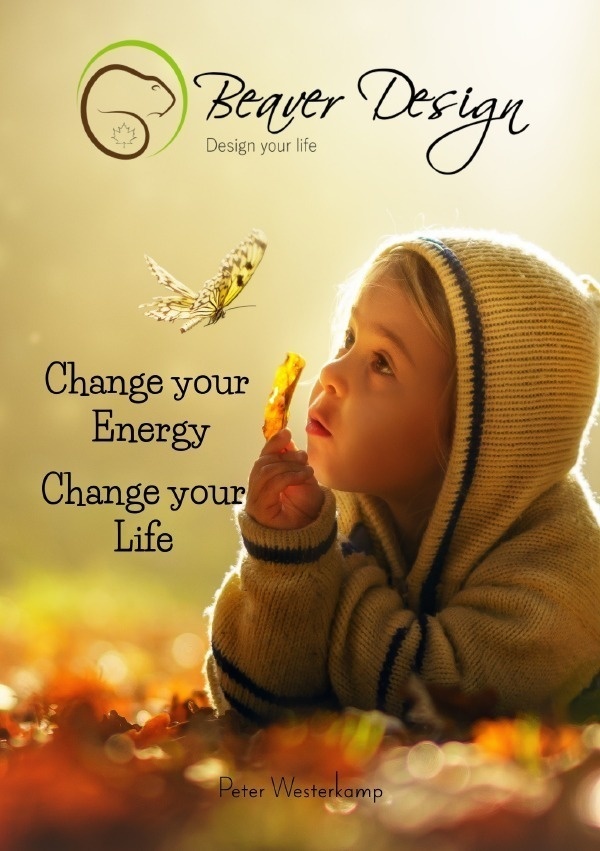 Change Your Energy - Change Your Life - Peter Westerkamp  Kartoniert (TB)