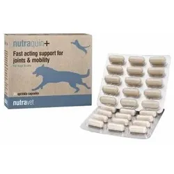 NUTRAVET Nutraquin für Hunde & Katzen 30 Kapseln- schnelle Unterstützung für Tiere mit Gelenksteifigkeit