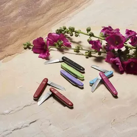 Victorinox Okuliermesser grün