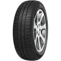 MINERVA 209 185/60 R15 88H XL