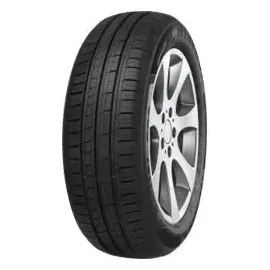 MINERVA 209 185/60 R15 88H XL