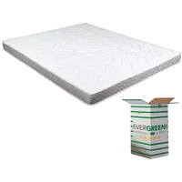 EVERGREENWEB Günstige Matratze auf eineinhalb Plätzen für Schlafsofa, 12 cm hoch, orthopädische Wasserschaummatratze, hypoallergene und ergonimische Matratze mit weißem Bezug 120X190 – DAYBED