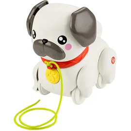 Fisher-Price Pets Gassi gehen mit Hündchen bunt, Nachziehspielzeug mit Bewegung und Geräuschen