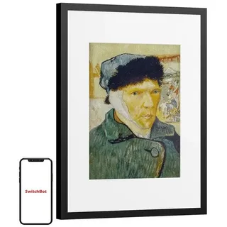 SwitchBot AI Art Frame 13.3" Digitaler Bilderrahmen