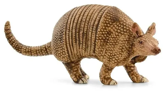 Armadillo