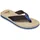 QUIKSILVER Molokai Layback beige 46