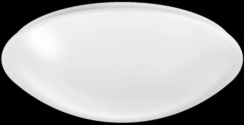 Ridi-Leuchten LED-Anbauleuchte RUFO2 460DA #0430857