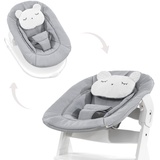 HAUCK Baby Wippe Hochstuhl Aufsatz Alpha Bouncer 2in1 Pastel Bear/Grau