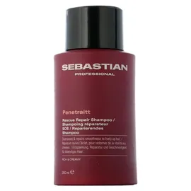 Sebastian Professional Penetraitt 250 ml