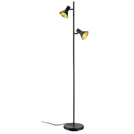 Trio Nina (R40162002)