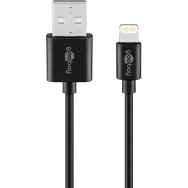 goobay Apple Lightning Dual-Ladeset (12 W), Netzteil mit 2x USB-A Ladegerät Kabel 1m, schwarz