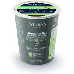 Weißer Tee & Ylang Ylang Nachfüller für Duftkerze 170g