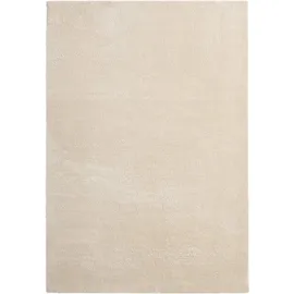 The CarPET Kuschelig & Super Soft Teppich 300 x 400 cm Beige