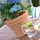 Prosperplast DECORA 57 57 x 57 x 45,5 cm Rot