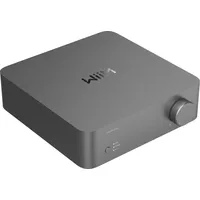 Wiim Vibelink Amp Verstärker