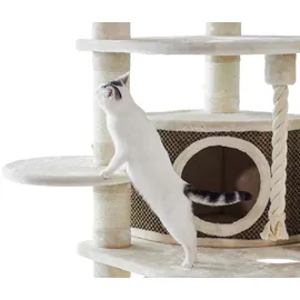 Nobby Elif Kratzbaum 70 x 70 x 189 cm creme