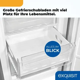 Exquisit KGC5320-95-E-WS-040C Kühl-Gefrierkombination (313 l, 1939 mm hoch, Silber)