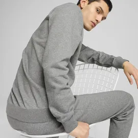 Puma Essentials Small No. 1 Logo Crewneck Herren PUMA grau 4XL