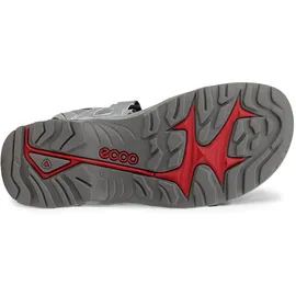 ECCO Offroad Herren silber/grau 43