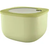 Store & More Küchenbehälter 2,8 l Avocado recycelt