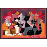 Salonloewe Rosina Wachtmeister Fußmatte Festa dei Gatti 050x075 cm, Schmutzfangmatte, Fußabtreter, draußen, drinnen