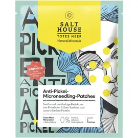salthouse natural minerals Natural Minerals Anti-Pickel Microneedling-Patches 6 Stück