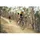 cannondale Lefty Oliver Carbon 27,5 Zoll 55 mm Schwarz