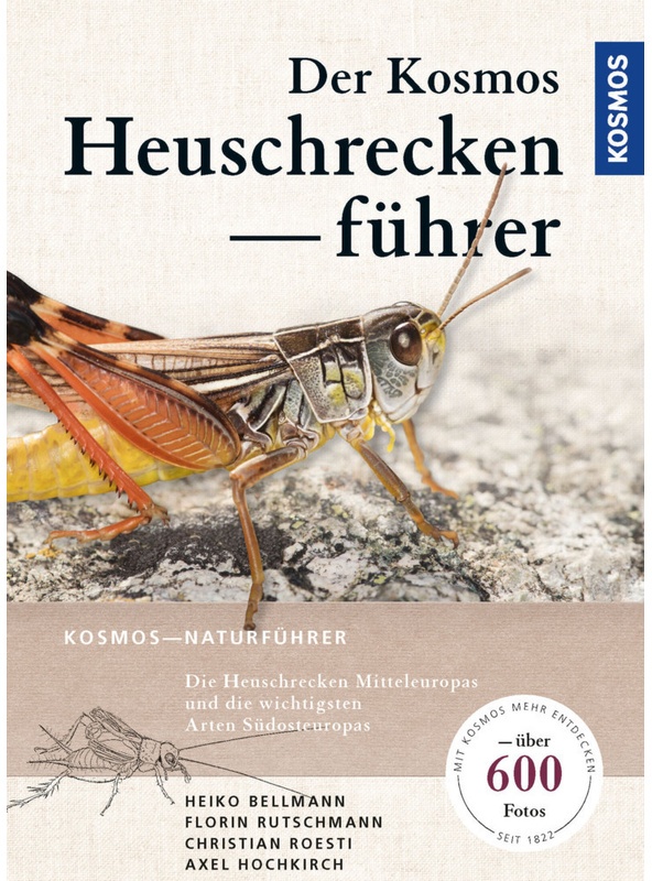 Der Kosmos Heuschreckenführer - Heiko Bellmann, Florin Rutschmann, Christian Roesti, Kartoniert (TB)