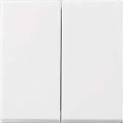 Busch-Jaeger Wippe aws Busch-balance SI 2505-914