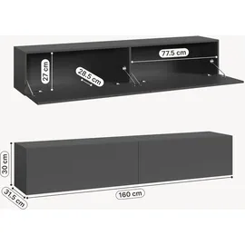 [en.casa] Evaton TV-Lowboard 160 x 32 x 30 cm Dunkelgrau Spanplatte