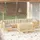 vidaXL Garten-Lounge-Set 9-tlg. creme Kiefer