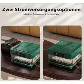fudajo Vollautomatischer Flächenbrüter für 30 Eier 40 W