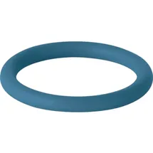 Geberit Mapress Dichtring, FKM, blau, d76,1mm, Packung mit 5 Stk.