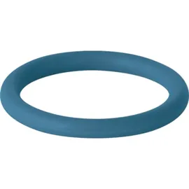 Geberit Mapress Dichtring, FKM, blau, d76,1mm, Packung mit 5 Stk.