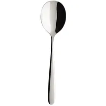 Villeroy & Boch Daily Line Servierlöffel