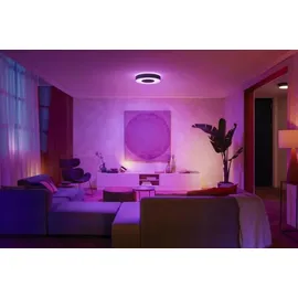 Philips Hue White & Color Ambiance Infuse 42,5 cm schwarz