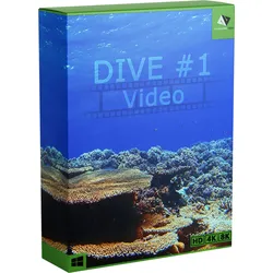 DIVE Video #1