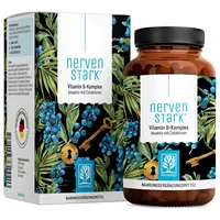 NATURTREU Vitamin B Komplex Kapseln 120 St.
